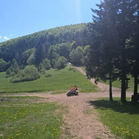 Feriested Pod Kamiennikiem *